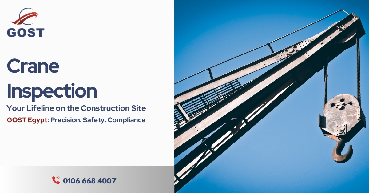 Professional Crane Inspection Services in Egypt